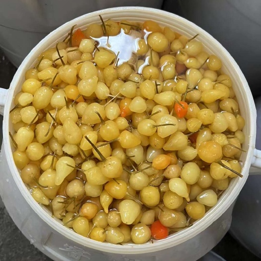 柳州广西特产七彩泡椒