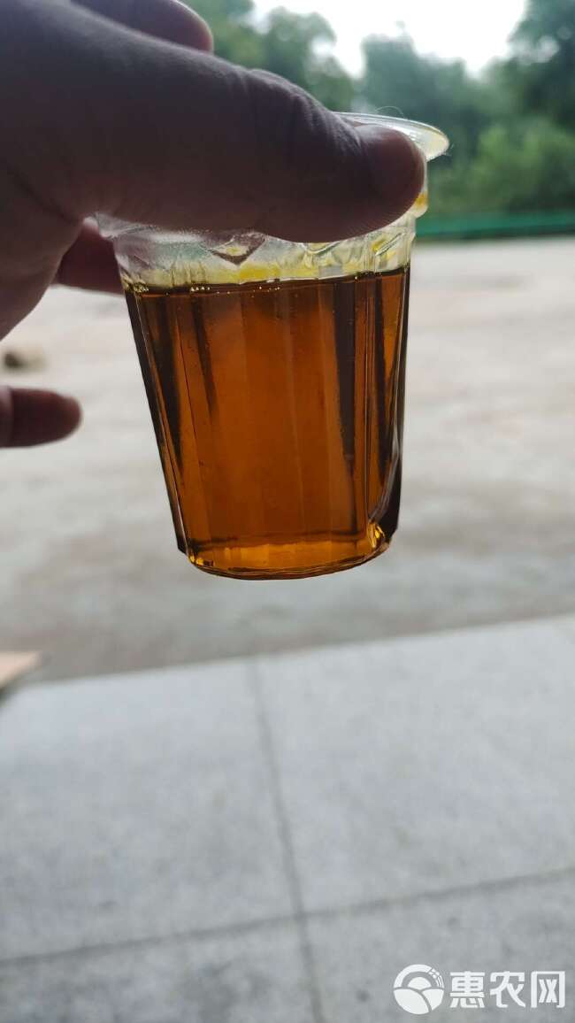 湖北油菜籽 菜籽 油色亮出油高