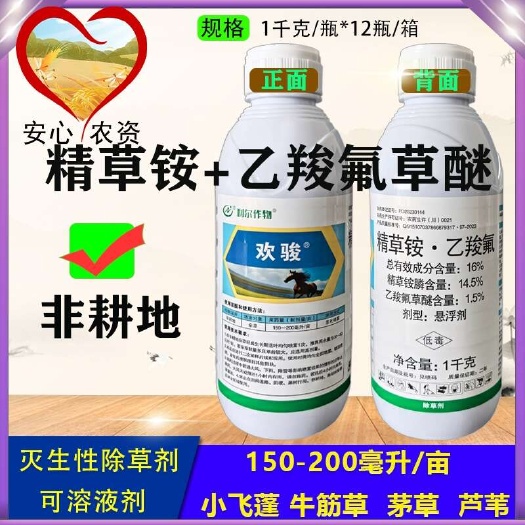 利尔欢骏精草铵膦乙羧氟草醚非耕地杂草小飞蓬香附子牛筋除草剂