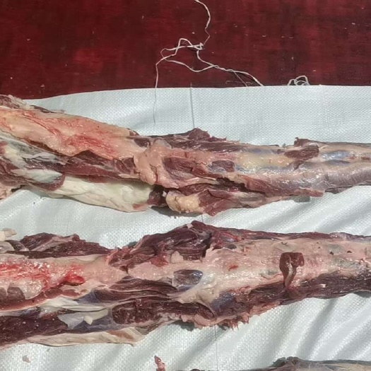 香河县牛尾