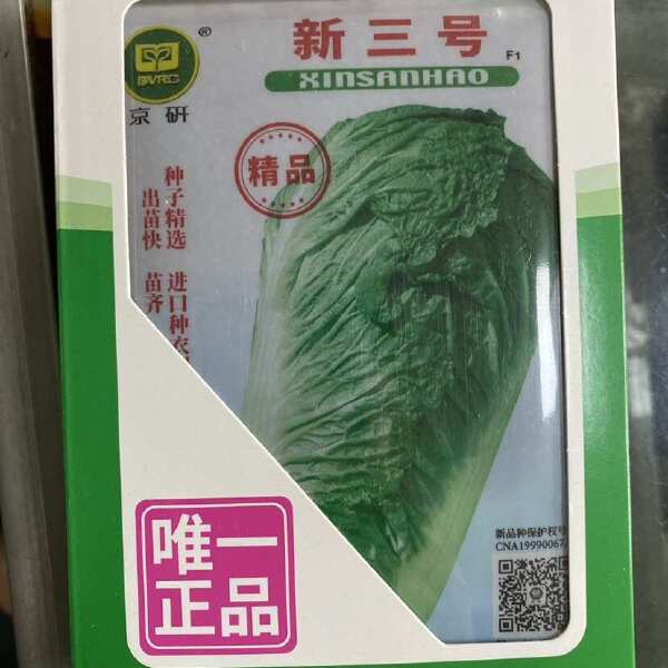 正品京研北京三号大白菜种子冬储白菜好吃大白菜