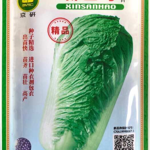 正定县正品京研北京三号大白菜种子冬储白菜好吃大白菜