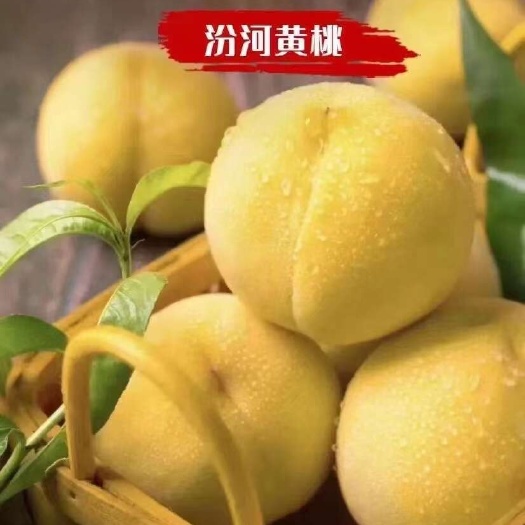奉节锦绣黄桃