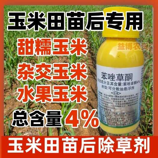 4%苯唑草酮甜糯玉米杂交通用玉米田苗后专用除草剂抗性杂草农