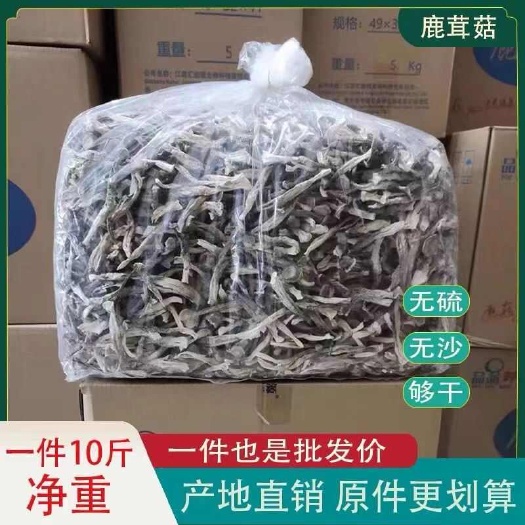廣州鹿茸菇旺品蘑菇干貨香菇蟲草煲湯農(nóng)家禮品特產(chǎn)鹿茸菇特批發(fā)毛重