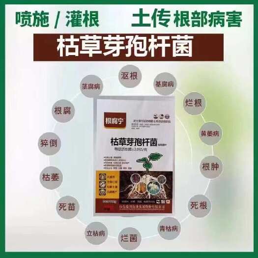 枯草芽孢杆菌，防根腐病，立枯病，猝倒病，防死苗烂根，促生根