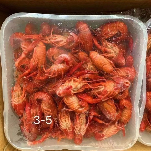 潜江市345液氮锁鲜虾（高品质）
