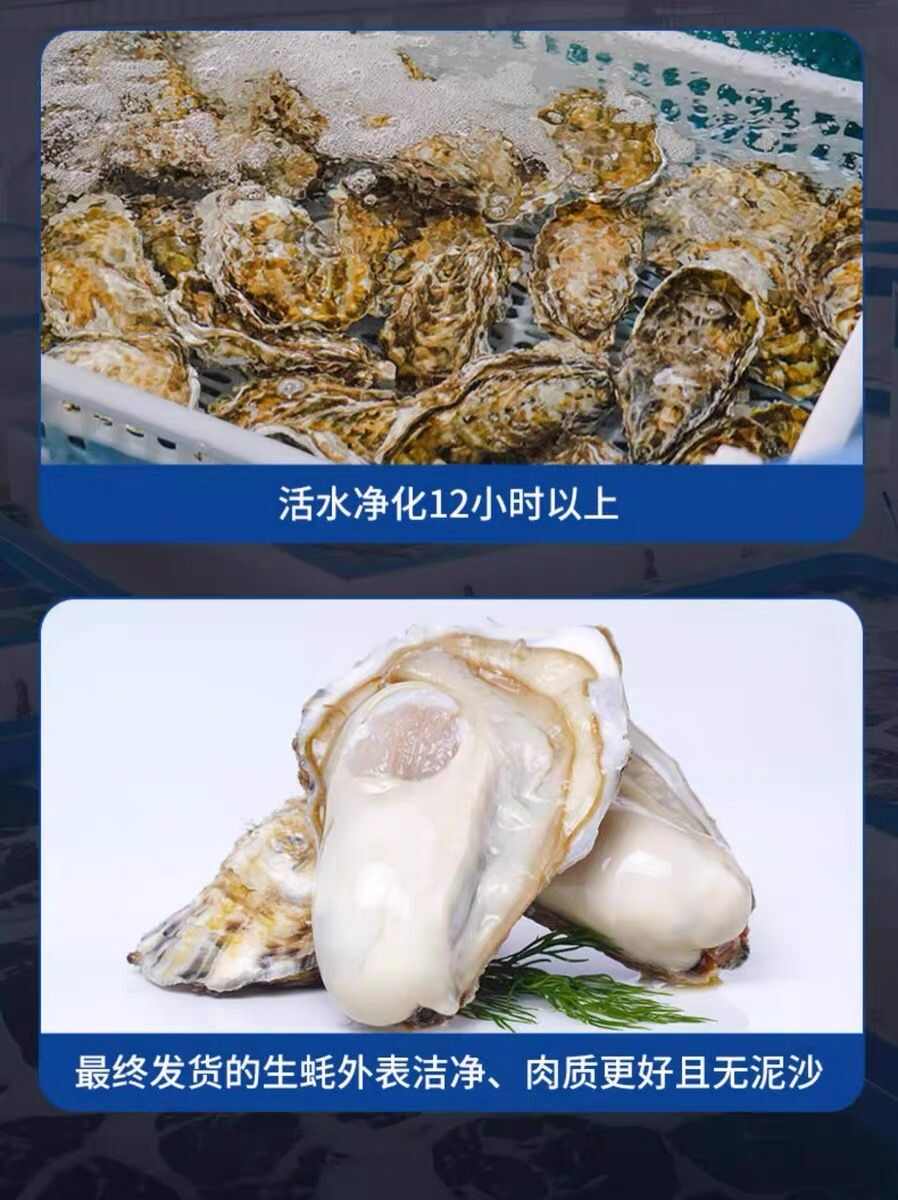 【顺丰】乳山生蚝鲜活牡蛎新鲜海鲜蛎子一整箱5蚝肉刺身鲜嫩