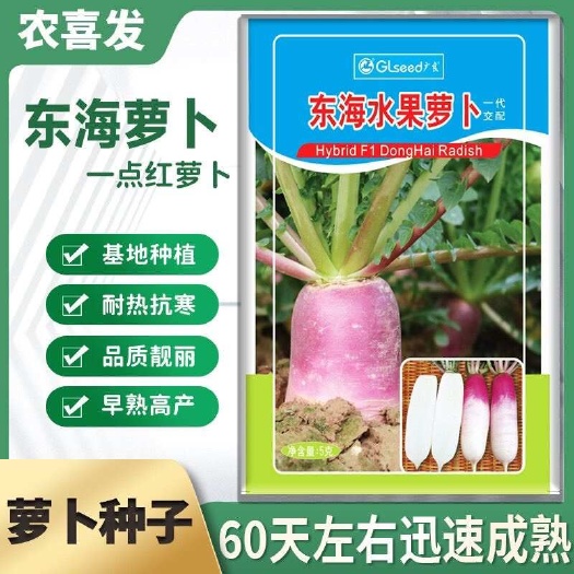 广良一点红水果萝卜种子可生吃春夏秋冬播种耐寒红皮萝卜基地种植