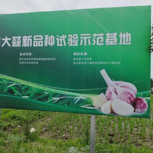 什邡市農(nóng)副產(chǎn)品代辦——連接城鄉(xiāng)美味橋梁