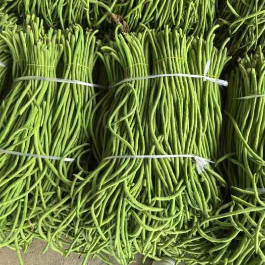 建水縣豇豆四季豆無筋豆大量上市產(chǎn)地直供一件代發(fā)歡迎訂購可提供電商超