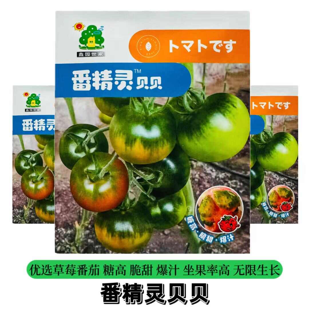 高品质口感型番茄种子 番精灵贝贝西红柿种子 草莓番茄种子