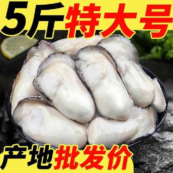 新鲜无壳鲜冻生蚝肉海蛎子肉鲜冻发货保鲜好商用