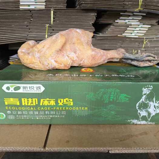 肥城市青脚麻鸡