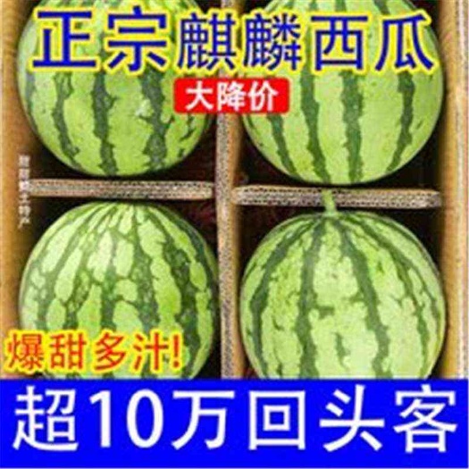 枝江市麒麟瓜—8424西瓜果型适中色泽诱人口味纯正细腻果肉鲜甜脆爽