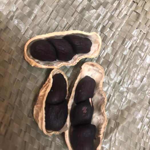昆明黑花生   云南黑花生  缅甸黑花生