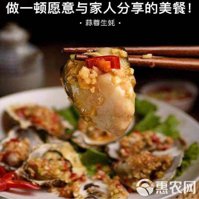 新鲜无壳鲜冻生蚝肉海蛎子肉鲜冻发货保鲜好商用