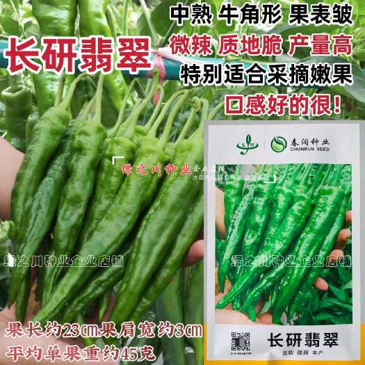 沭阳县湖南长研翡翠辣椒种子春润公司牛角形辣椒种籽微辣软皮牛角椒种子
