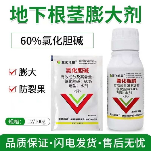 60%氯化胆碱：厂家直发地下作物膨大防畸形