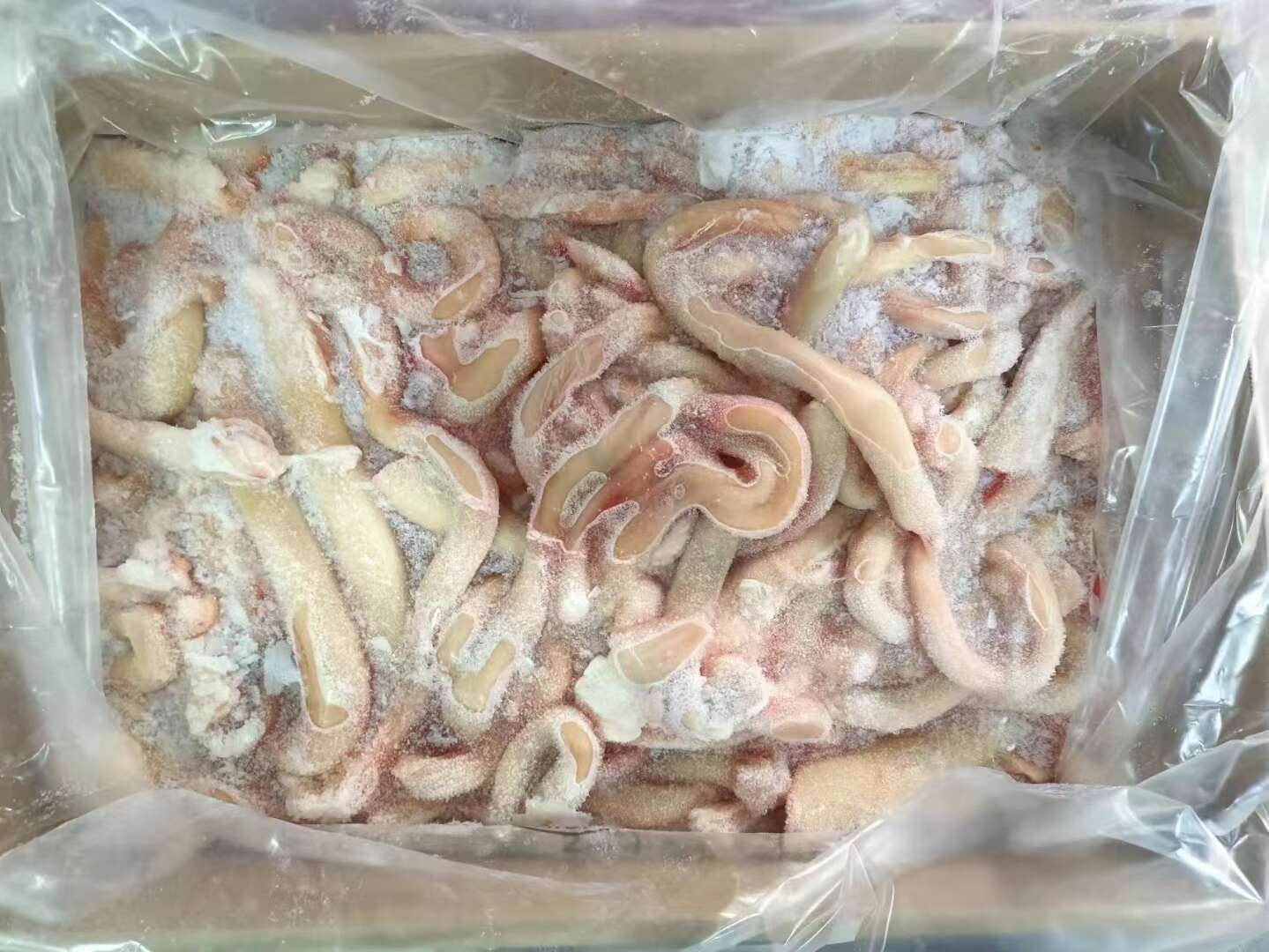 乌拉圭带跟牛鞭，港口工厂发货。价格低