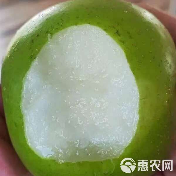 苏翠一号梨