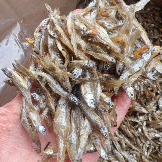 佛山河鱼 油 地摊 电商 批发 2到3厘米小白肖鱼干 干鱼