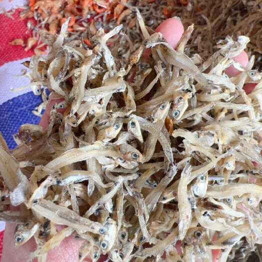 佛山鱼干 干鱼 地摊 电商 批发 越南公鱼干 丁香鱼干 小鱼干