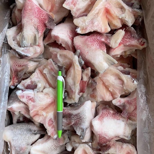 广州鲷鱼下巴