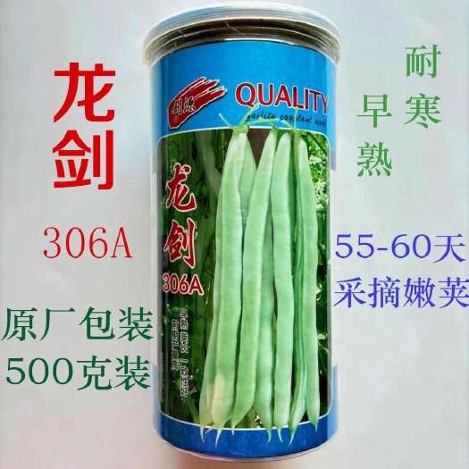 沭阳县龙剑306A架豆种子高产白芸豆四季豆种子春秋季爬架四季豆种籽
