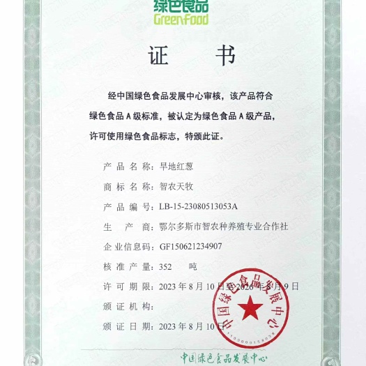 红葱 毛葱 内蒙古自治区鄂尔多斯市达拉特旗