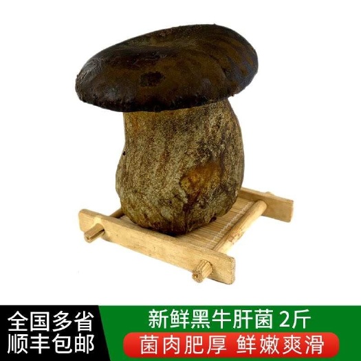 孟连县云南新鲜黑牛肝菌500g 食用菌菇炒菜煲汤食材顺丰包邮