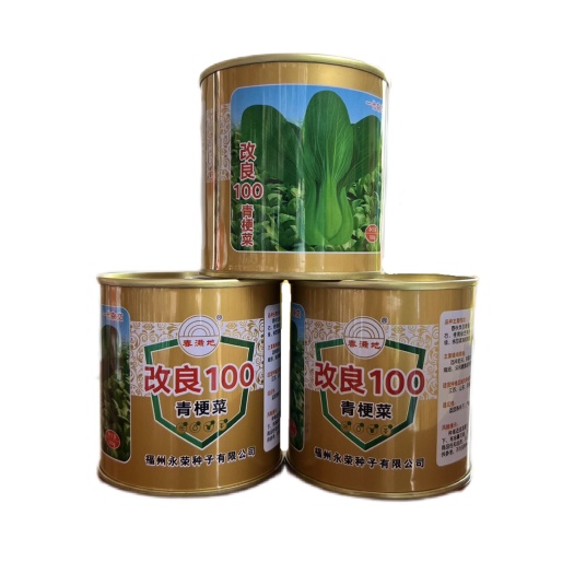曹县改良100 青梗菜种子