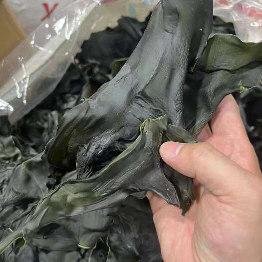 海带头，超厚肉无沙，无盐