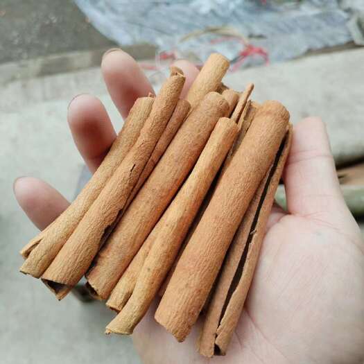 藤县全干烟桂，纯手工制作，一件代发
