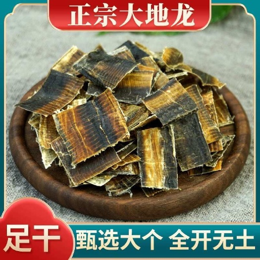 中药材批发清水 全开地龙 半开地龙干 广地龙 干蚯蚓