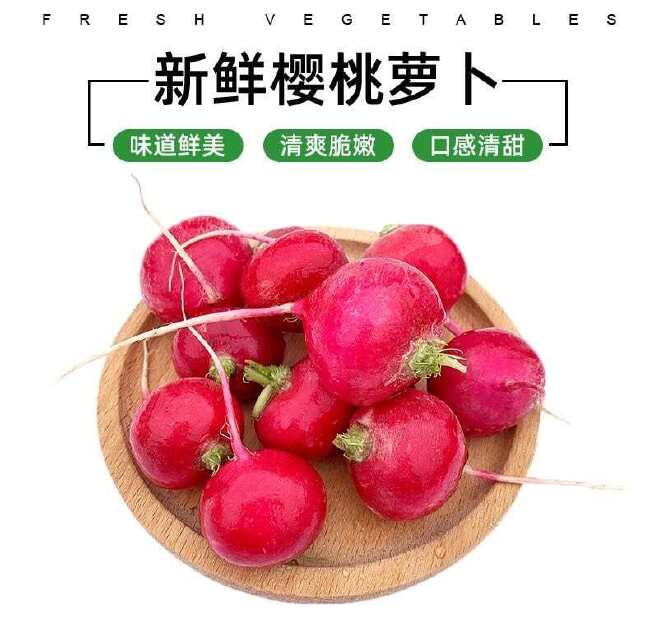 新鲜樱桃萝卜 迷你小红萝卜水果圆萝卜生吃蔬菜西餐沙拉食材