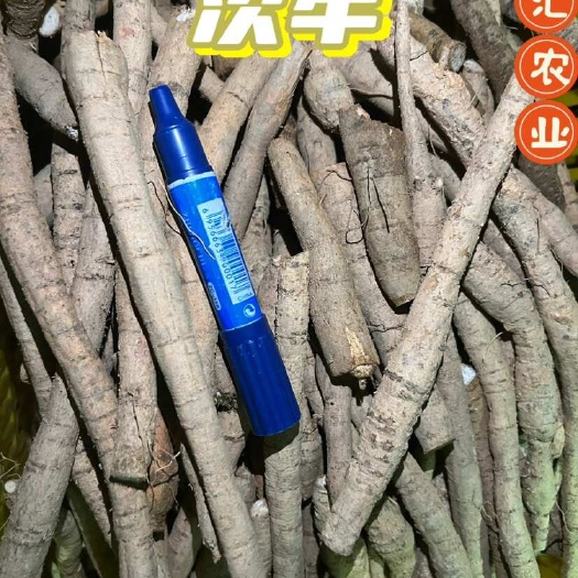 新鲜牛大力薯，肉质饱满粉质清甜年老皮粗欢迎联系！