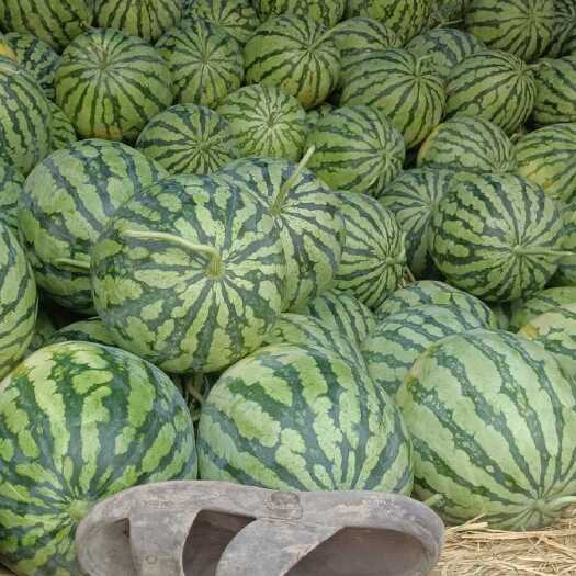 亳州新鲜优质美都西瓜