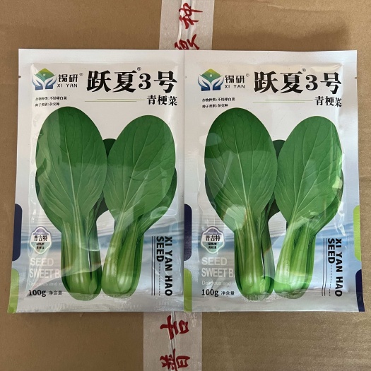 跃夏3号  大叶面青梗菜 抗热颜色绿