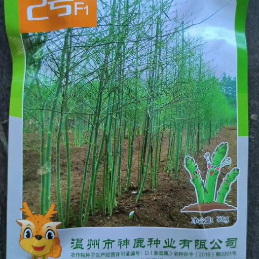 芦笋种子 航天2号  耐高温不散头 抗性强，产量高