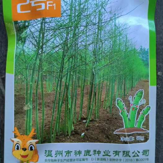潍坊芦笋种子 航天2号  耐高温不散头 抗性强，产量高