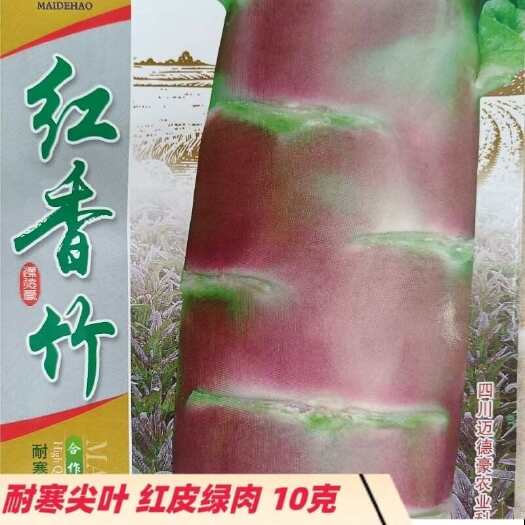 武汉红尖叶香莴笋种子棒长直节间稀耐寒抗病绿肉秋冬基地专用红香竹