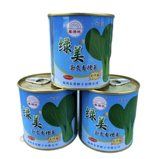 曹县绿美 大叶面青梗菜 福州永荣