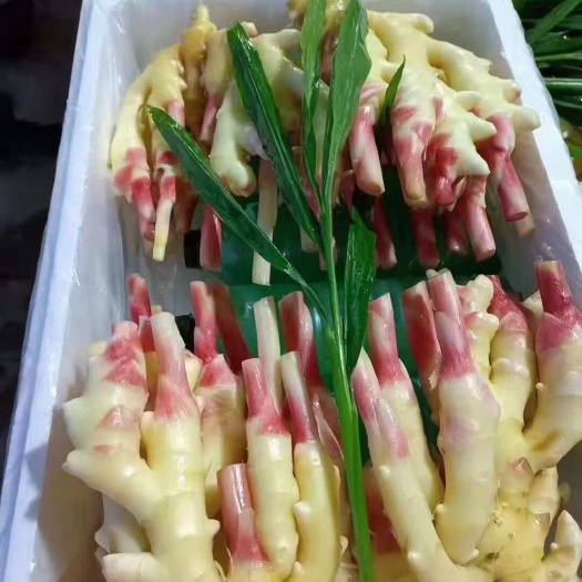 重庆市【推荐】红芽仔姜/产地直销 对接市场电商 全国发货/价格便宜