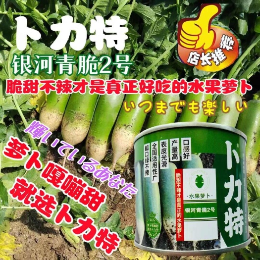 沭阳县卜力特银河青脆水果萝卜种子青皮绿肉说过萝卜种子