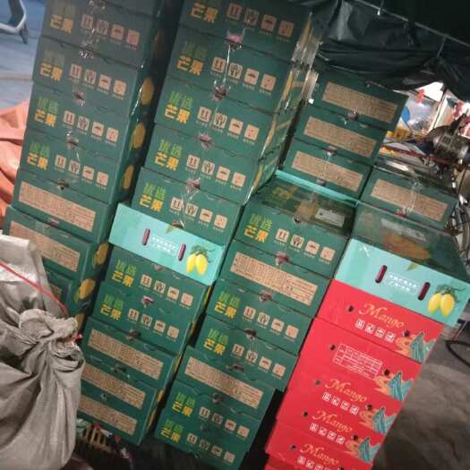 田东县芒果