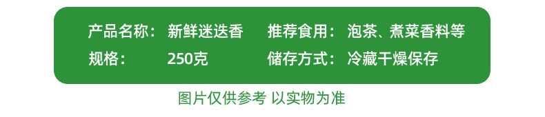 新鮮迷迭香迷失迷迪香枝條燒烤烘焙調(diào)料西餐煎牛排食用香料香草