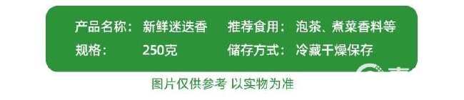 新鲜迷迭香迷失迷迪香枝条烧烤烘焙调料西餐煎牛排食用香料香草