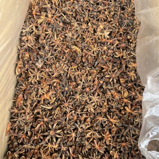 藤县精选干枝八角 广西特产 一手货源 批发价格欢迎老板咨询。