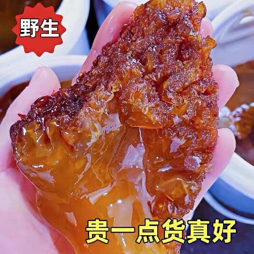 海蛰头